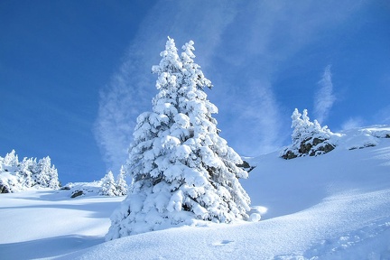 Verschneite-Winterlandschaft
