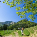 Staffenalm 01