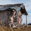 Alm-Wendelstein 0240