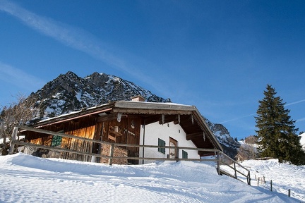 Alm-unter-Breitenstein