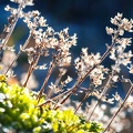 Plant 6